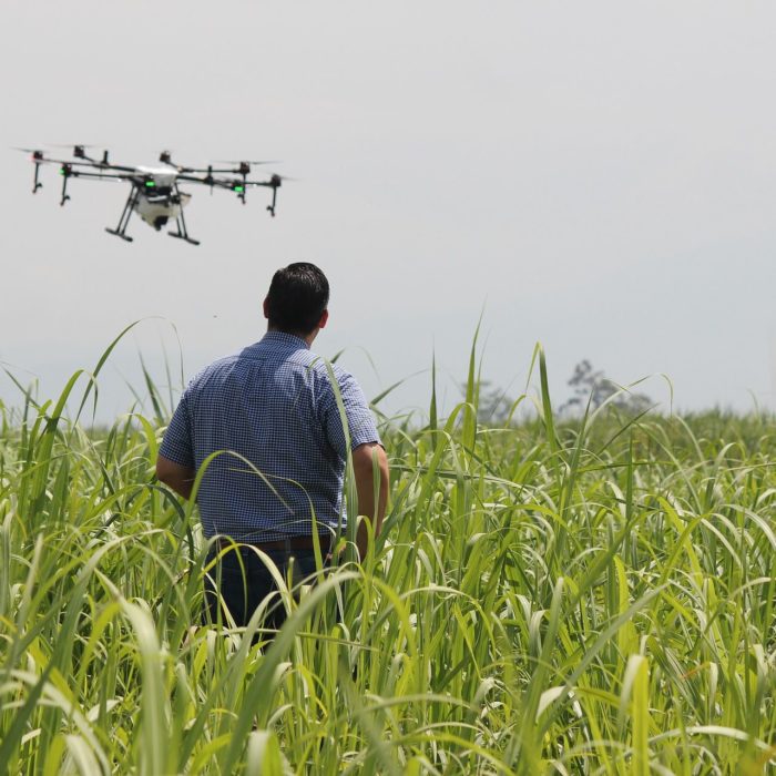 Drone in crop field