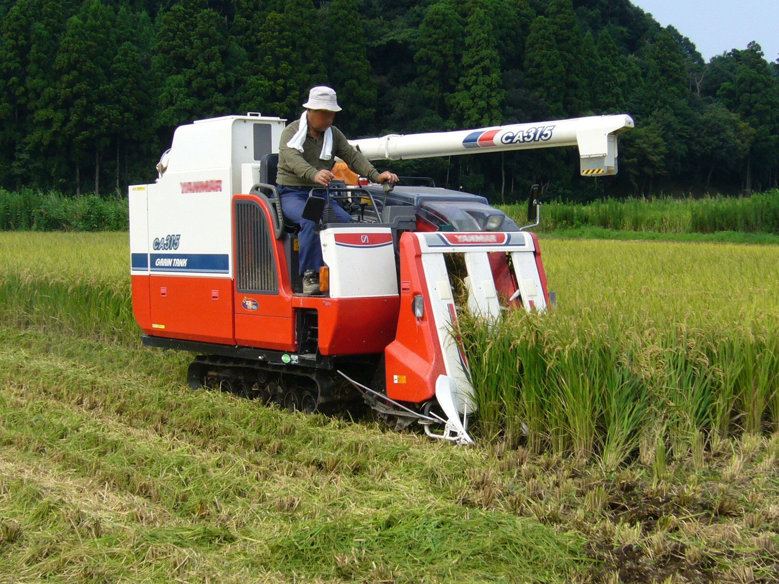 Mini harvesters are also used in high-income countries, as in this photo from Japan